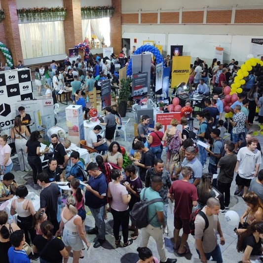 Imagem da publicação